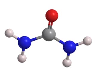 MauriceFlex lets you collect charge variant fractions of your samples, even if they contain urea or methylcellulose