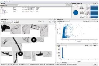 MFI software gives you the ability to dive deep into a single sample or examine a whole cohort at once