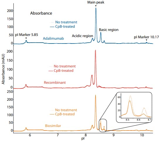 icIEF absorbance (top) and peak area percentages (bottom) of adalimumab, a recombinant, and a biosimilar