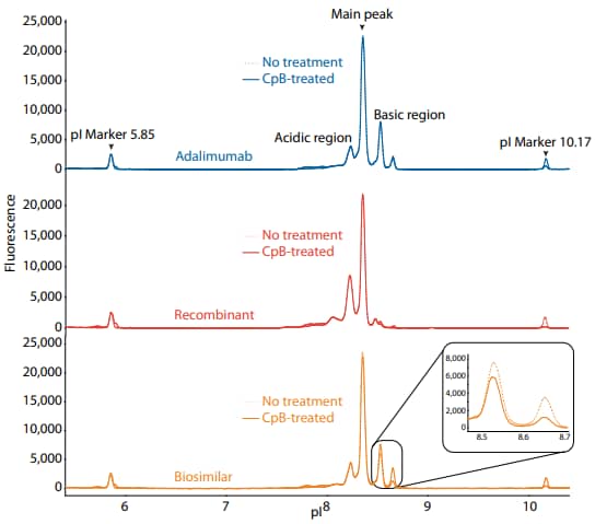 icIEF fluorescence (top) and peak area percentages (bottom) of adalimumab, a recombinant, and a biosimilar