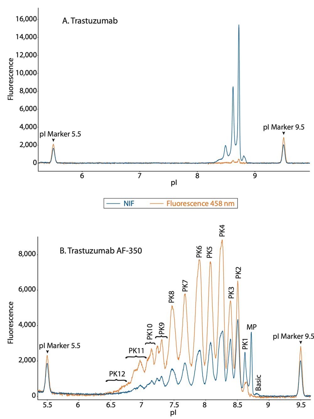 Overlaid NIF and 458 nm fluorescence profiles of unconjugated and conjugated trastuzumab