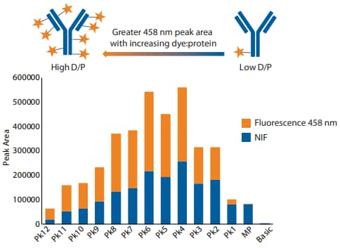 Peak area ratio of 458 nm fluorescence to NIF for each peak of conjugated trastuzumab