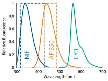 The emission spectra of NIF, AF-350, and CY3. Dashed boxes represent filter bandwidths