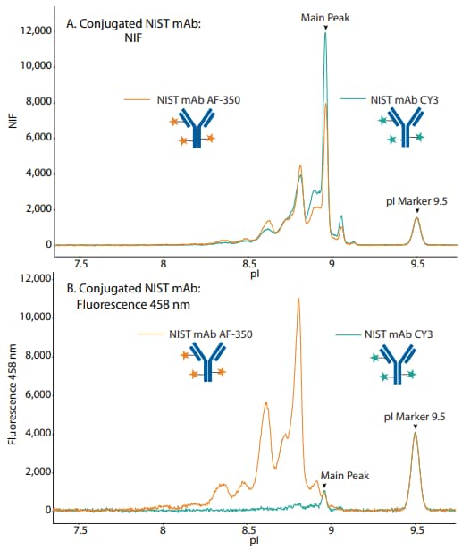 Overlaid electropherograms of NIST mAB conjugated to AF-350 and CY3 in the NIF channel and fluorescence 458 nm channel