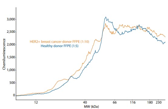 Overlaid electropherograms of healthy and diseased FFPE samples as measured by the Simple Western Total Protein Assay