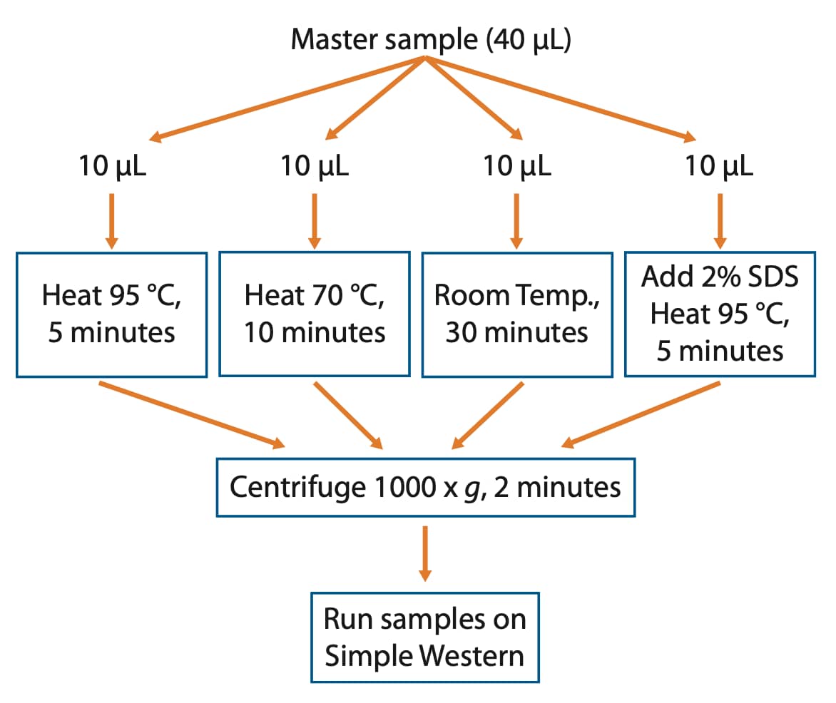 Integral membrane protein workflow for optimal denaturation conditions