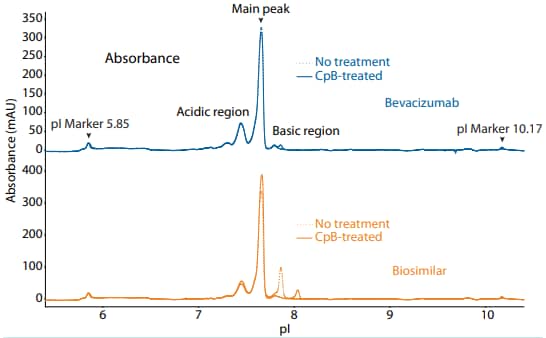 icIEF absorbance (top) and peak area percentages (bottom) of bevacizumab