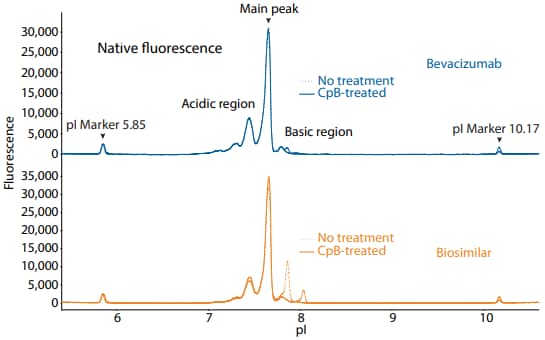 icIEF fluorescence (top) and peak area percentages (bottom) of bevacizumab