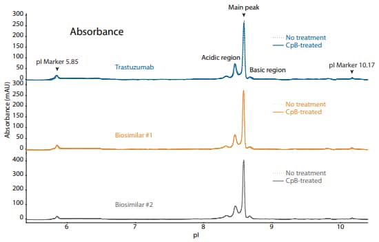 icIEF absorbance and peak integrations of trastuzumab and two biosimilars