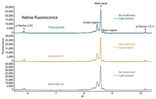 icIEF fluorescence and peak integrations of trastuzumab and two biosimilars