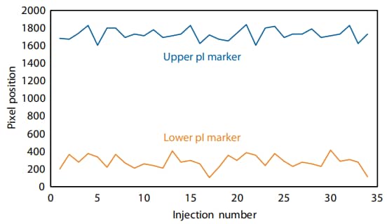 The lower and upper pI markers are retained throughout two consecutive repeats of the DOE