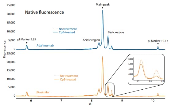 icIEF fluorescence and peak integrations of adalimumab and a biosimilar