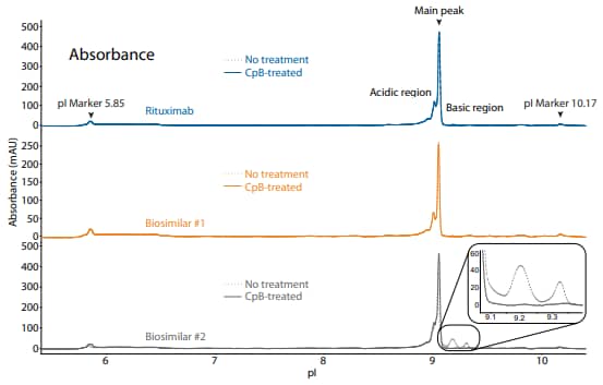 icIEF absorbance and peak integrations of rituximab and two biosimilars