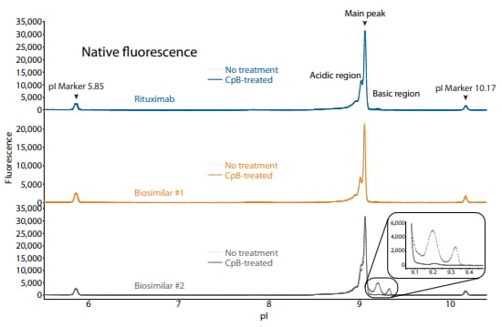 . icIEF fluorescence and peak integrations of rituximab and two biosimilars