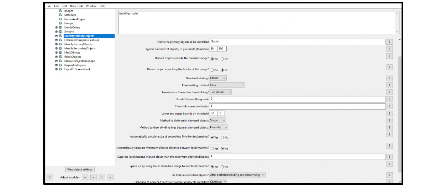 Figure 10. Module settings: IdentifyPrimaryObjects (nuclei)