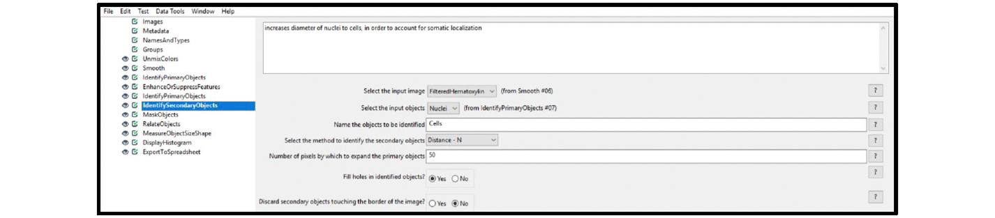 Figure 13. Module settings: IdentifySecondaryObjects (cells)