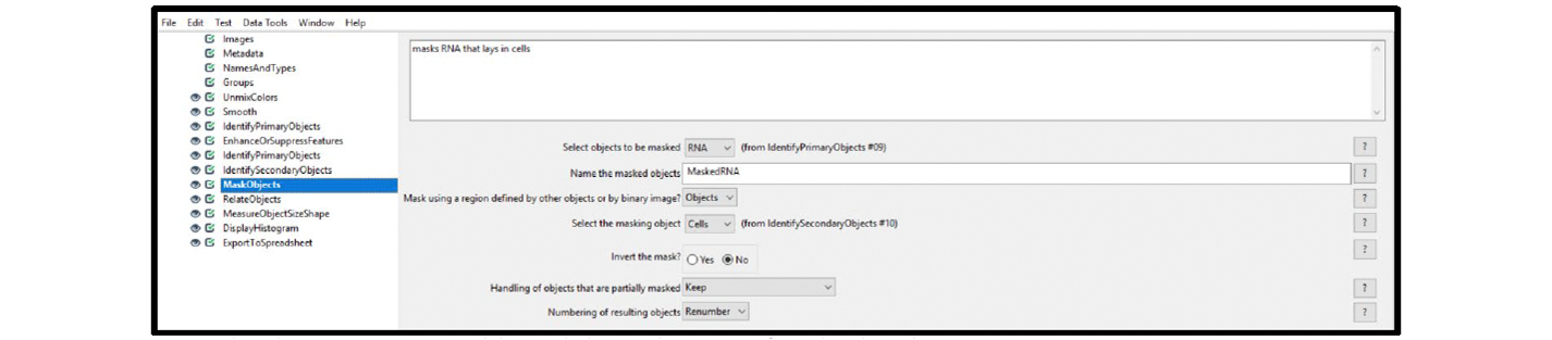 Figure 14. Module settings: MaskObject