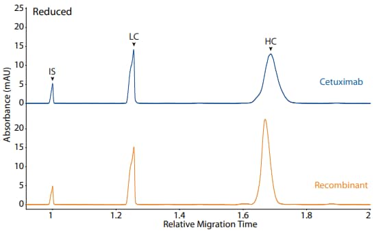 CE-SDS reduced (top) and peak area percentages (bottom) of cetuximab and a recombinant