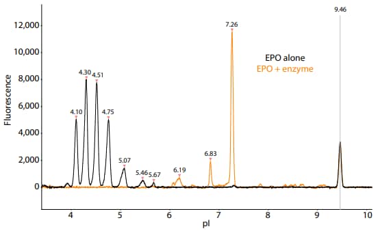 Erythropoietin Fluorescence vs pI