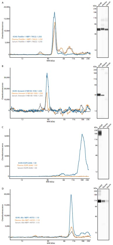 Detection of exosome targets by Simple Western