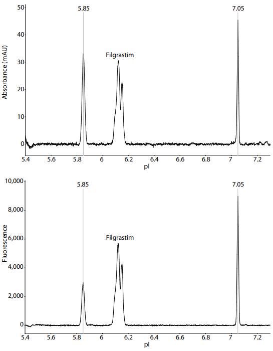 Filgrastim Fluorescence vs pI