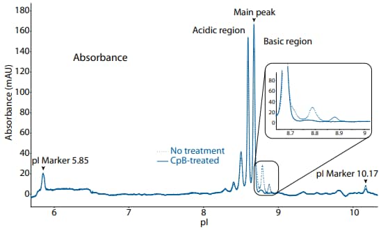 icIEF absorbance (top) and peak area percentages (bottom) of golimumab