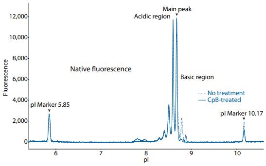 icIEF fluorescence (top) and peak area percentages (bottom) of golimumab