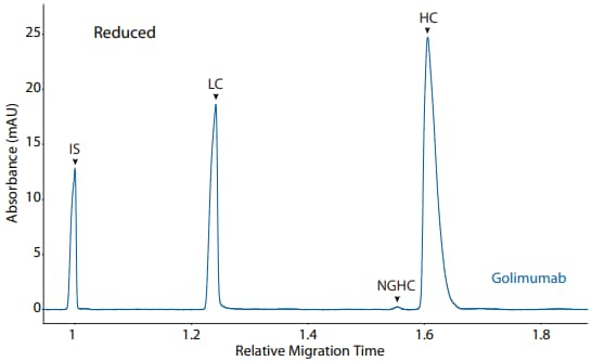 CE-SDS reduced (top) and peak area percentages (bottom) of golimumab