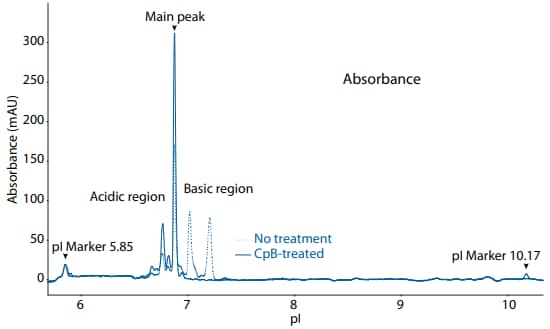 icIEF absorbance (top) and peak area percentages (bottom) of iInfliximab