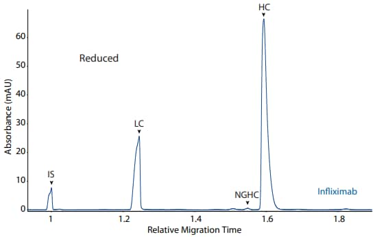 CE-SDS reduced (top) and peak area percentages (bottom) of infliximab