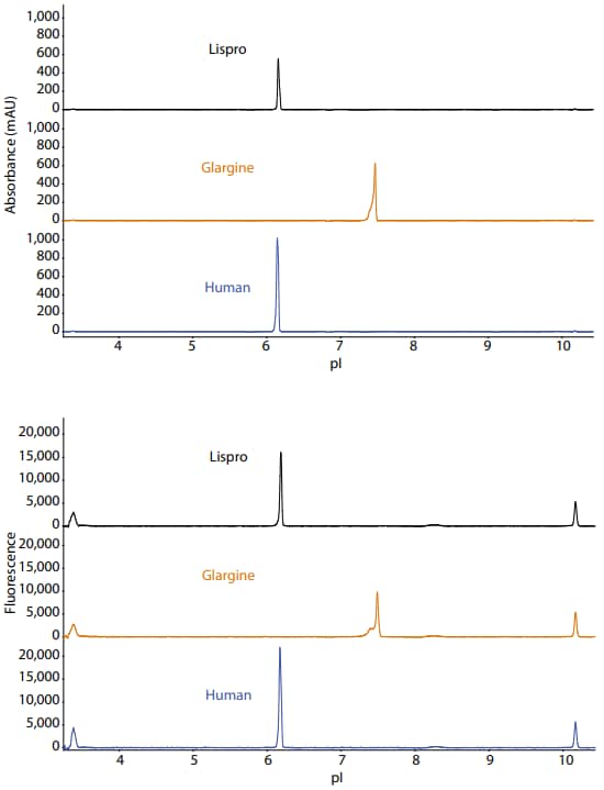 Insulin Fluorescence vs pI