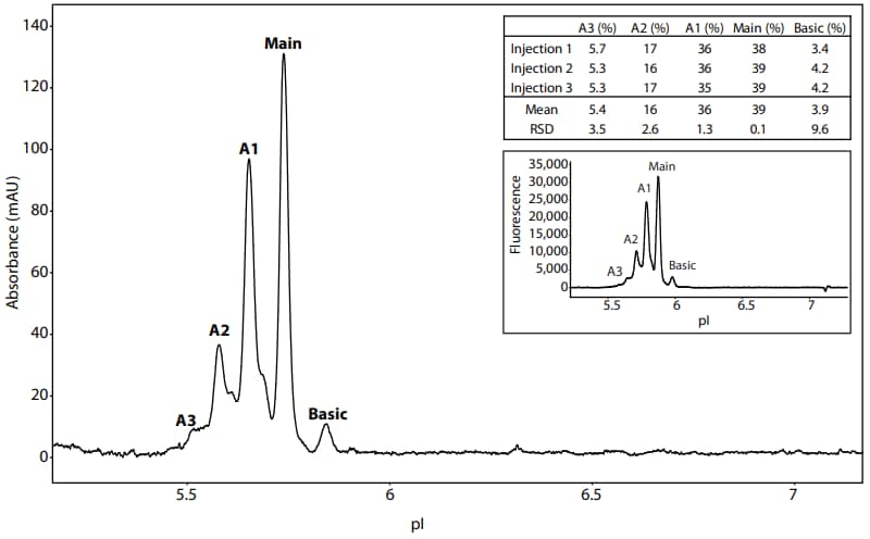 PS IgG in Peggy Sue reagents separated on Maurice