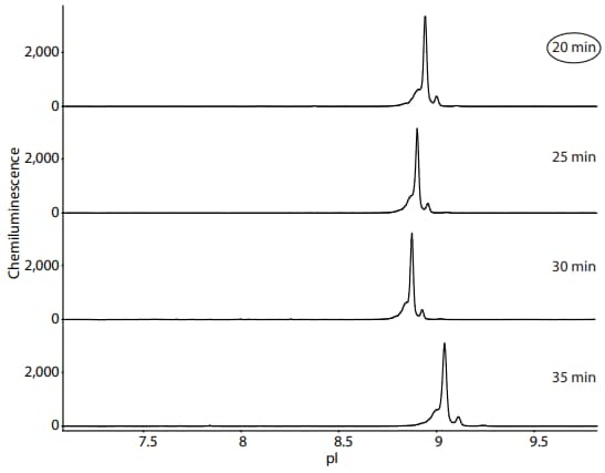 Optimization of NIST mAb focusing time on Peggy Sue using Maurice reagents