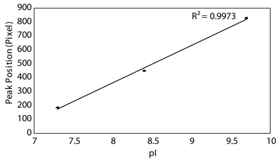 pH gradient linearity around pH 8–10 on Peggy Sue