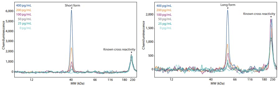 Residual Protein A detection with Simple Western