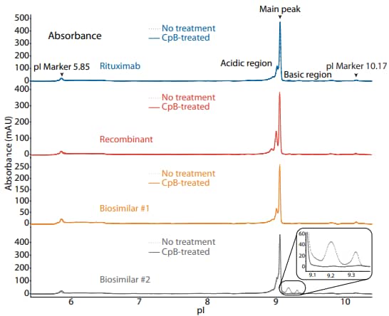 icIEF absorbance (top) and peak area percentages (bottom) of rituximab, a recombinant, and two biosimilars