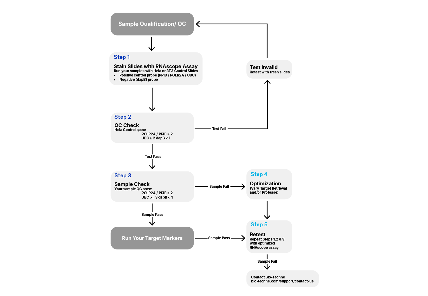 Illustration of the recommended RNAscope ISH workflow 