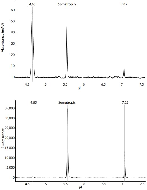 Somatropin Fluorescence vs pI