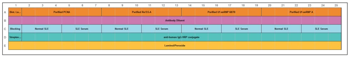 Compass for Simple Western plate map used to screen for SLE serum antibodies.