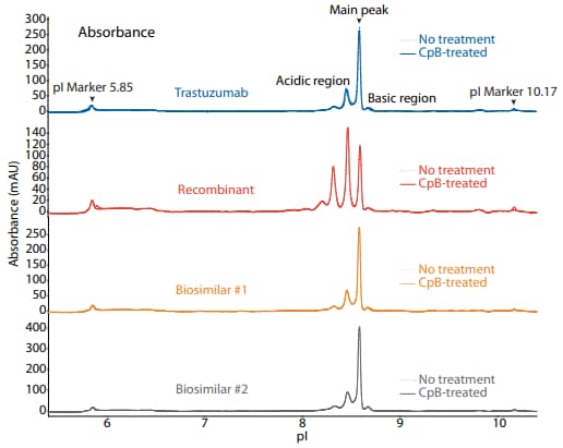 icIEF absorbance (top) and peak area percentages (bottom) of trastuzumab, a recombinant, and two biosimilars