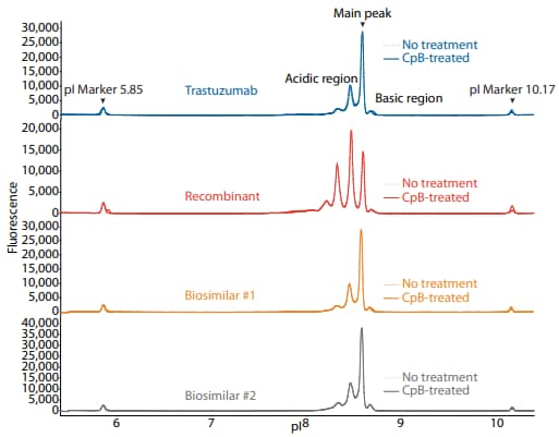 icIEF fluorescence (top) and peak area percentages (bottom) of trastuzumab, a recombinant, and two biosimilars