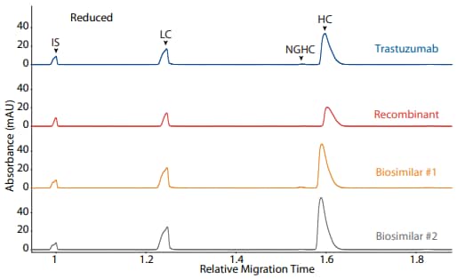 CE-SDS reduced (top) and peak area percentages (bottom) of trastuzumab, a recombinant, and two biosimilars