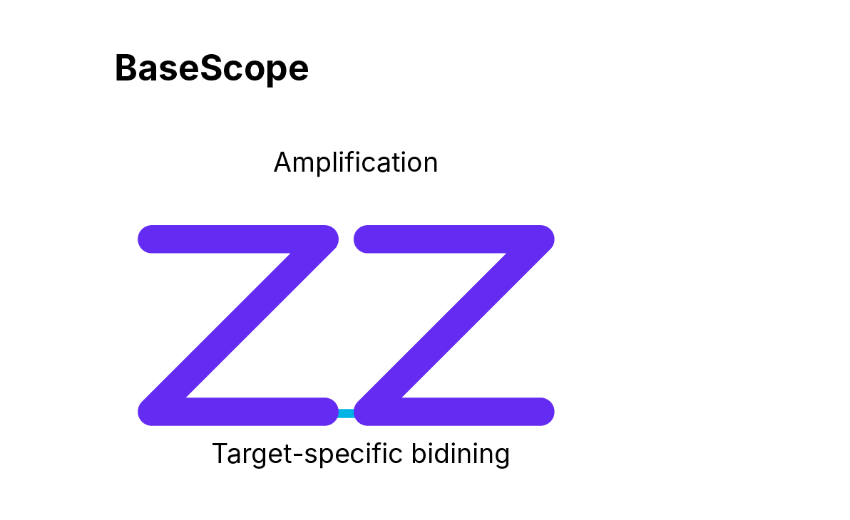  BaseScope Assays