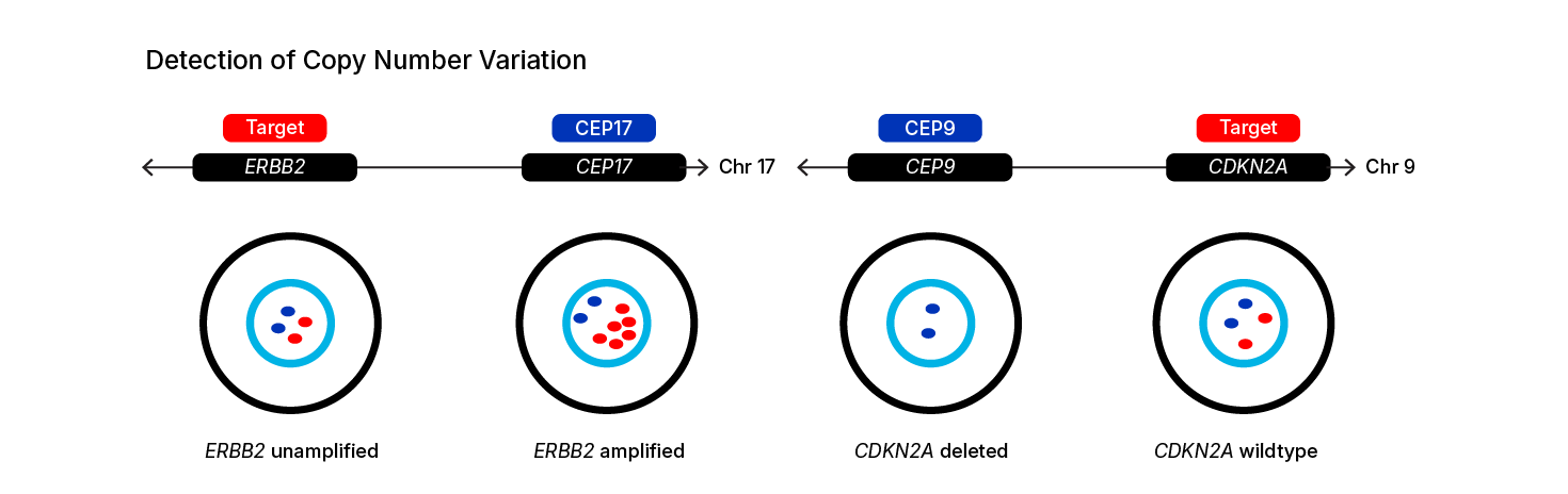 DNAscope Duplex Assay detection workflow part 1