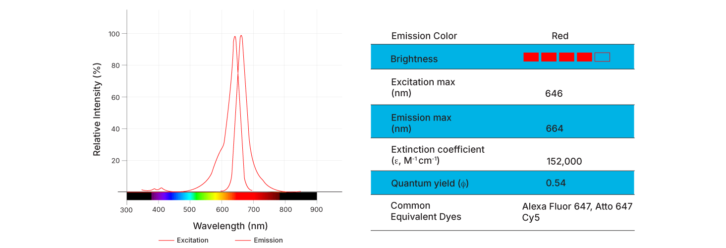 Janelia Fluor® Conjugated Antibodies | Bio-Techne