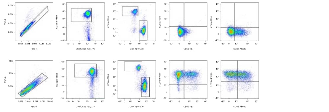 Multicolor antibody activation T cell panel is able identify human activation T cell subsets and changes over time from Day 0 to Day 2