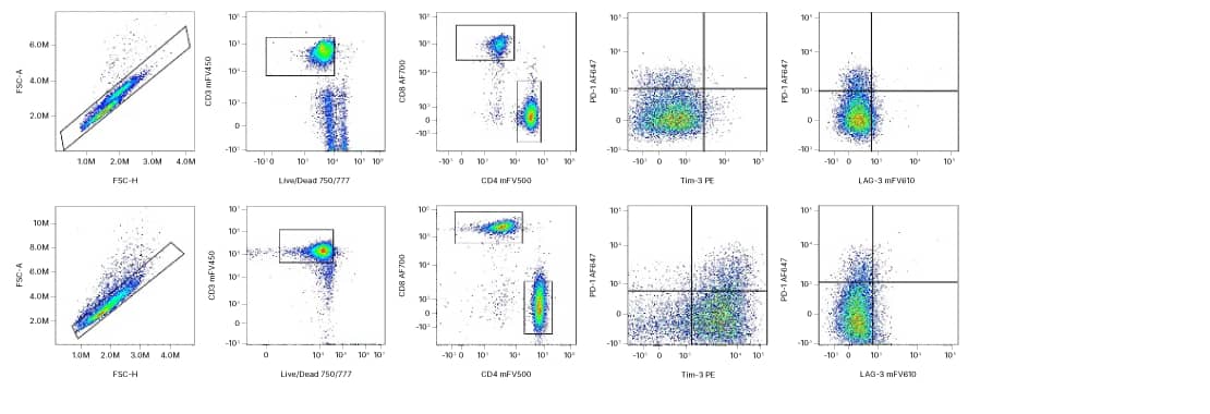 Multicolor antibody activation T cell panel is able identify human activation T cell subsets and changes over time from Day 0 to Day 2