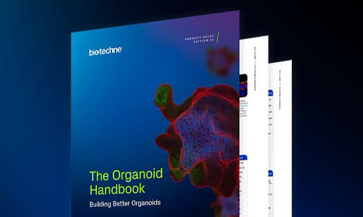 Organoid Handbook Update Teaser BG