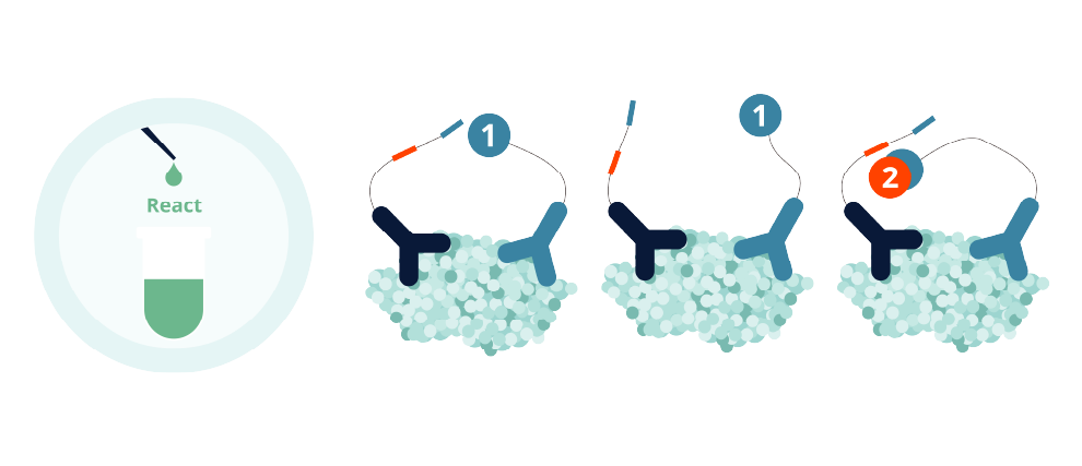 SPEAR Bio Wash Steps Graphic Step 2