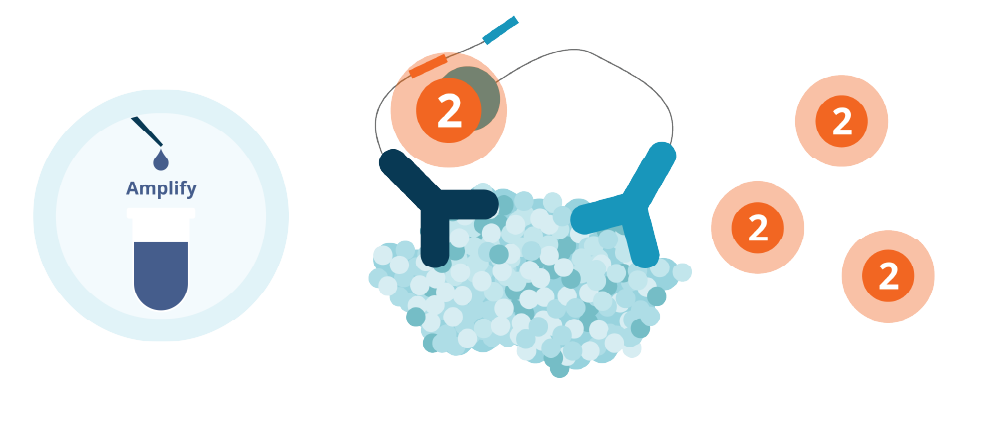 SPEAR Bio Wash Steps Graphic Step 3